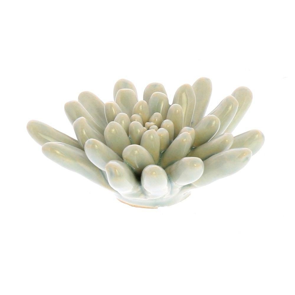 Nordstrom Ceramic Succulents - Picture 4 of 9